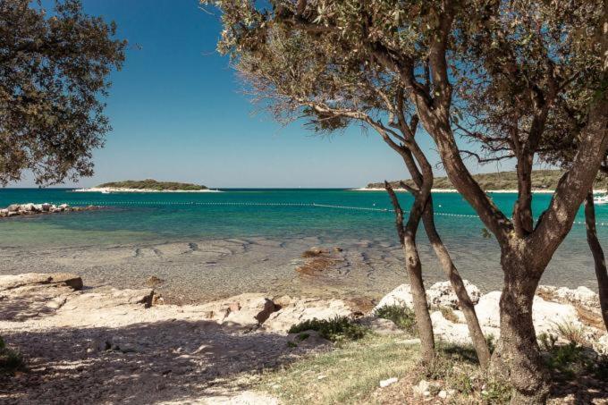 Apartmani Dokic Bale Εξωτερικό φωτογραφία